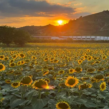 Lana Zona Terme Centro E Vicino A Igea