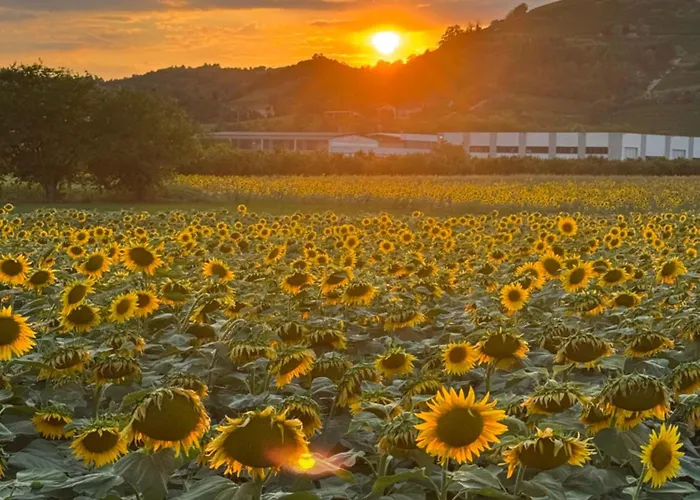 Lana Zona Terme Centro E Vicino A Igea